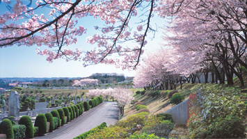 東京霊園