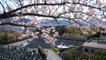 京都桃山霊苑