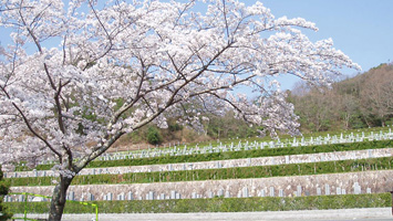 猪名川霊園