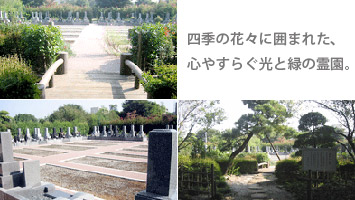 長善寺さぎ沼墓苑