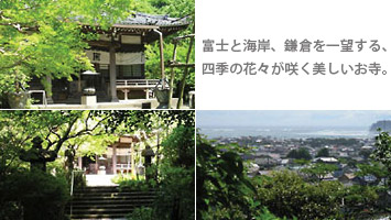 松葉ヶ霊跡安国論寺