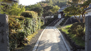 蔭涼山　洞雲寺