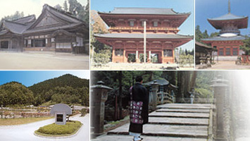 高野山中之橋霊園