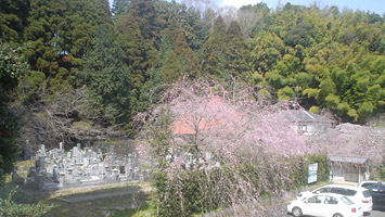 同夢山願成就寺