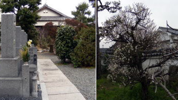 家原中室院