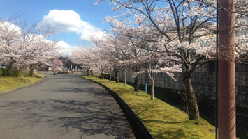 瀬田南大萱霊園