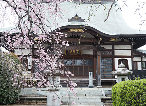 円蔵院「桜華苑」